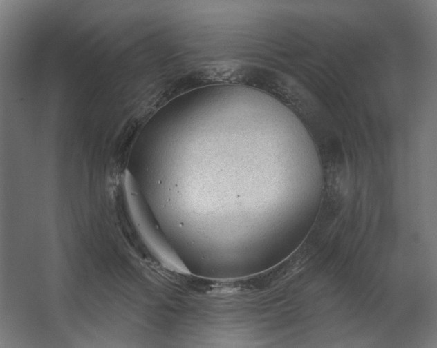 X0000067840602200604201243