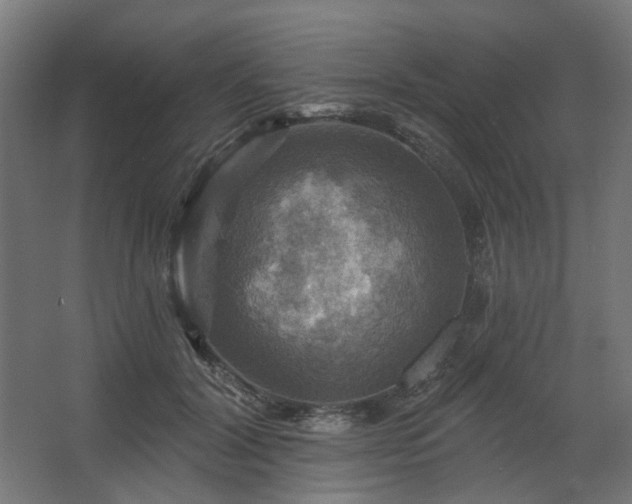 X0000067840604200604201243