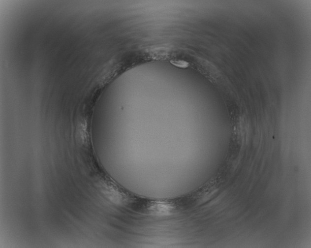 X0000067840610200604201243