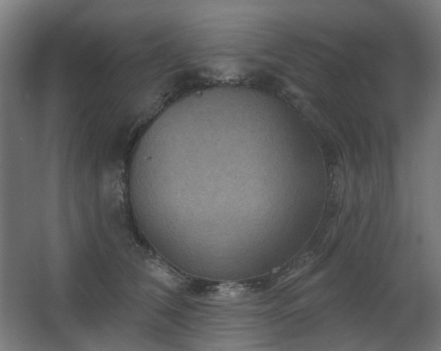 X0000067840612200604201243