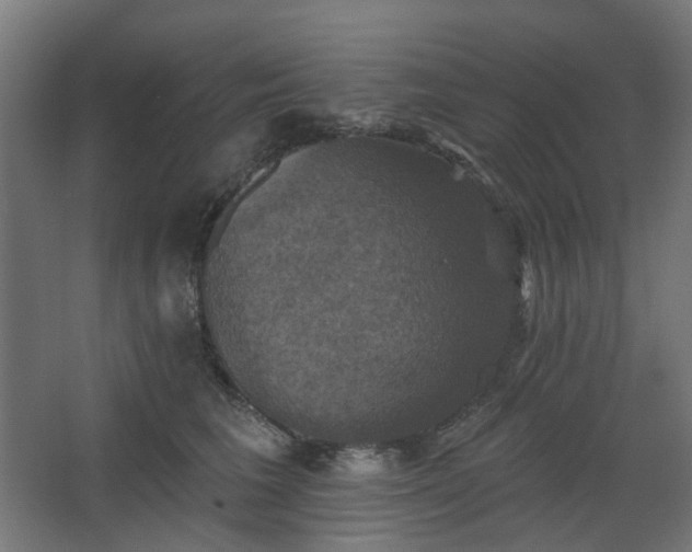 X0000067840613200604201243