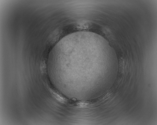 X0000067840614200604201243