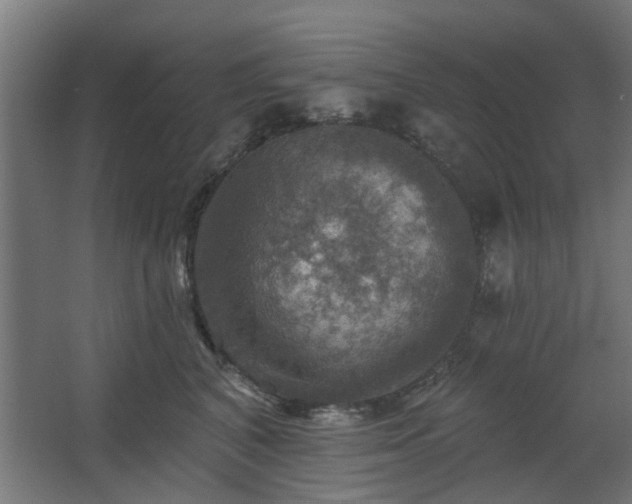 X0000067840616200604201243