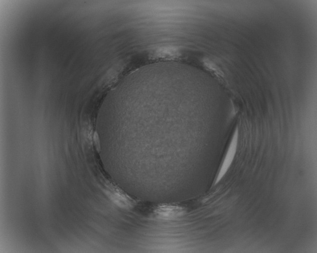 X0000067840617200604201243