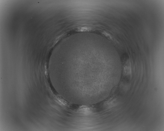 X0000067840620200604201243