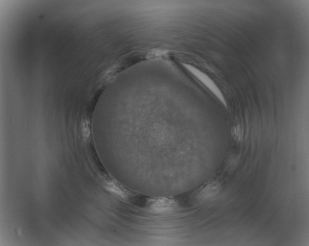 X0000067840621200604201243