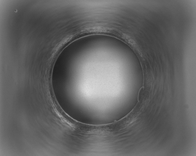 X0000067840625200604201242