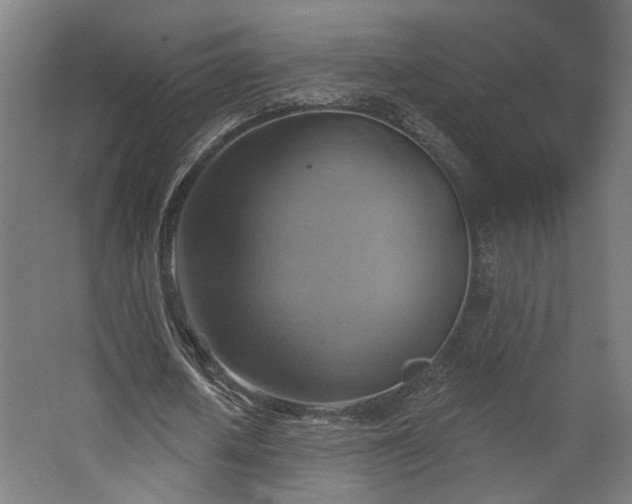 X0000067840626200604201242