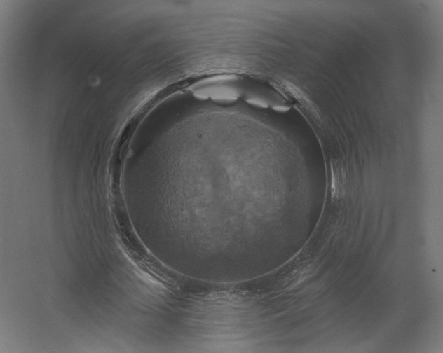 X0000067840627200604201242