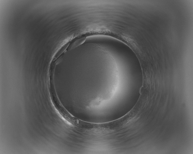 X0000067840630200604201242