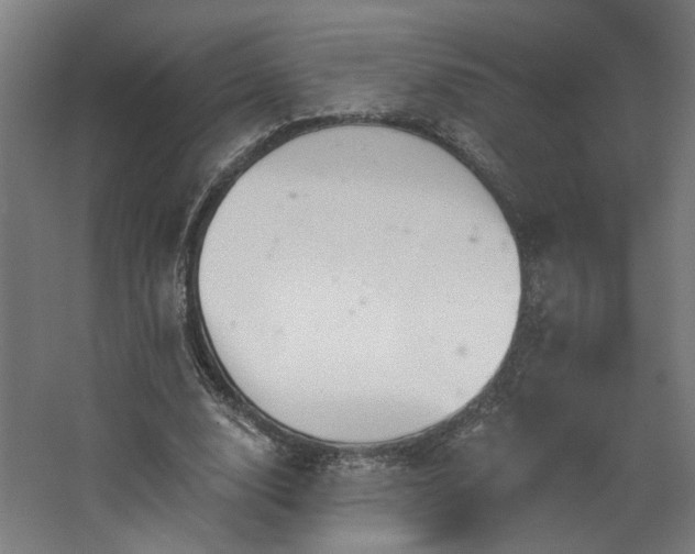 X0000067840632200604201242