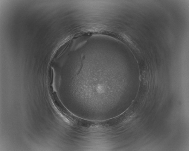 X0000067840634200604201242