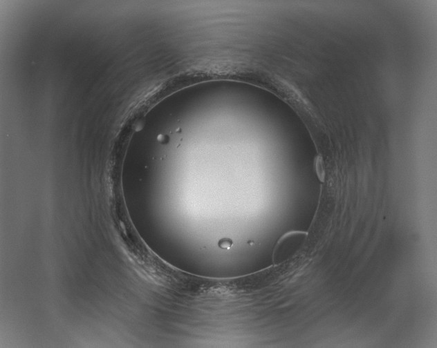 X0000067840635200604201242