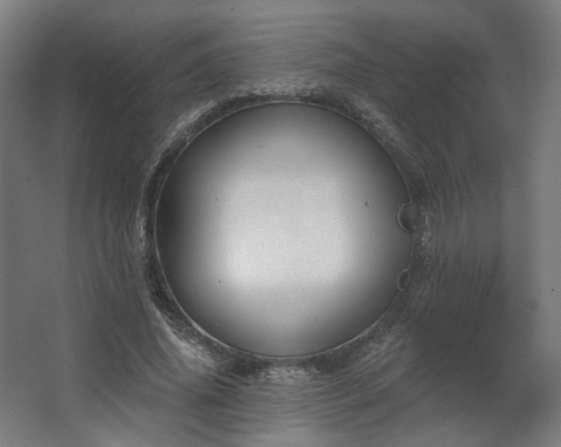 X0000067840636200604201242