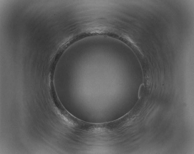 X0000067840637200604201242