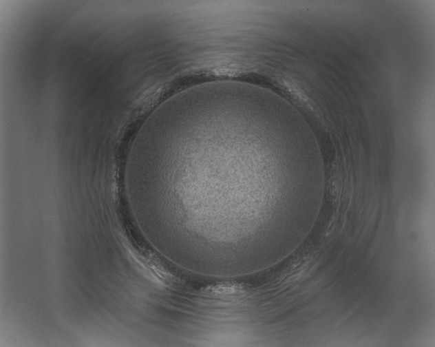 X0000067840639200604201242