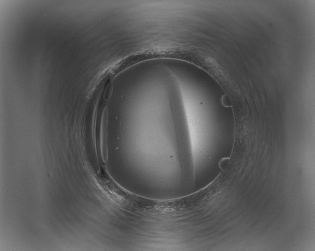 X0000067840640200604201242