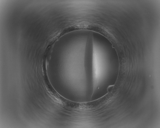 X0000067840641200604201242