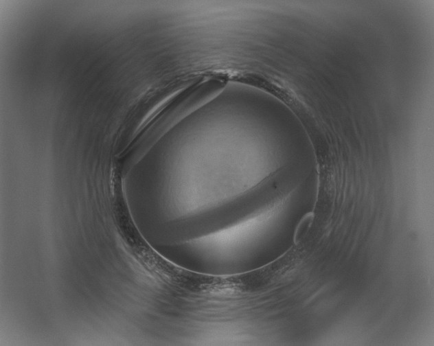 X0000067840643200604201242