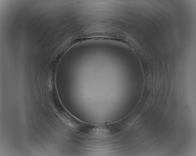 X0000067840644200604201242