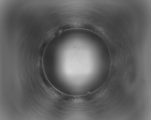 X0000067840645200604201242