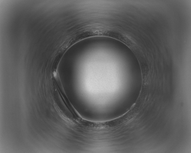 X0000067840646200604201242