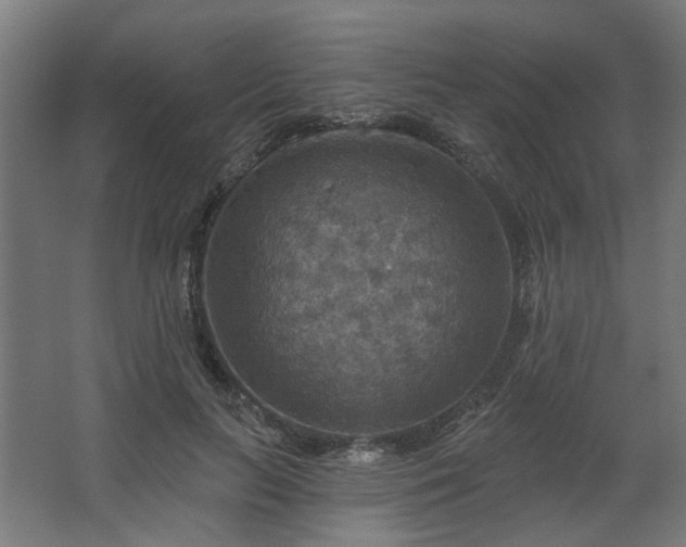 X0000067840647200604201242