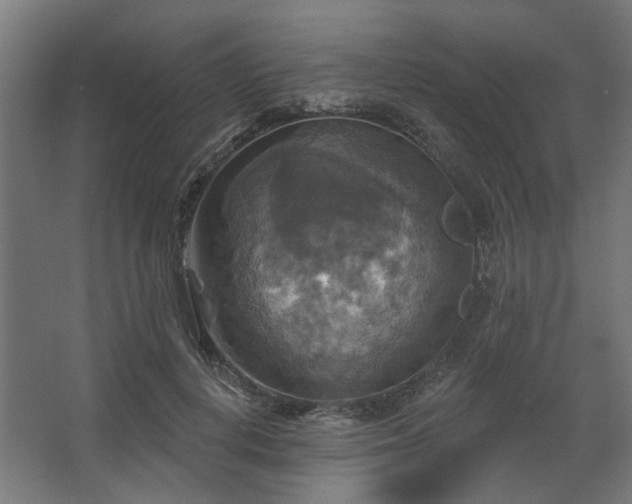 X0000067840648200604201242