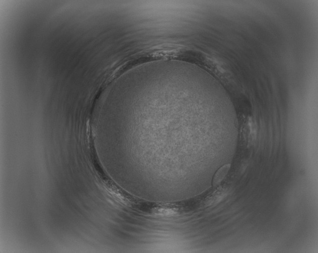 X0000067840649200604201242