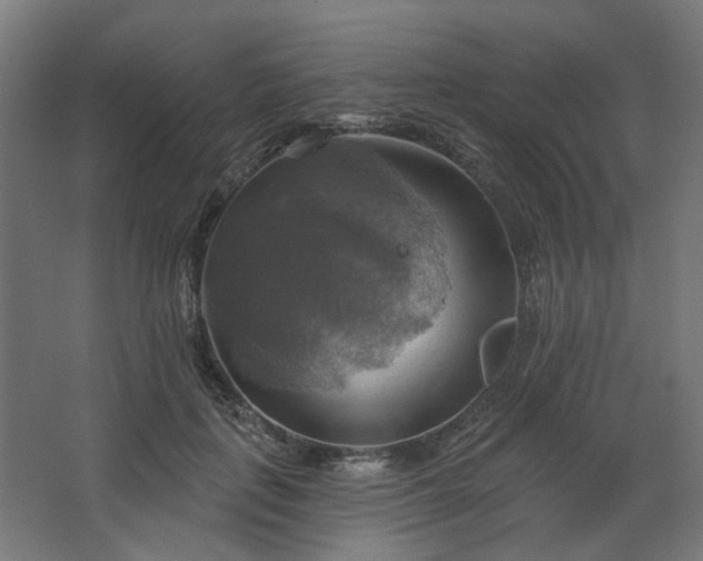 X0000067840651200604201243