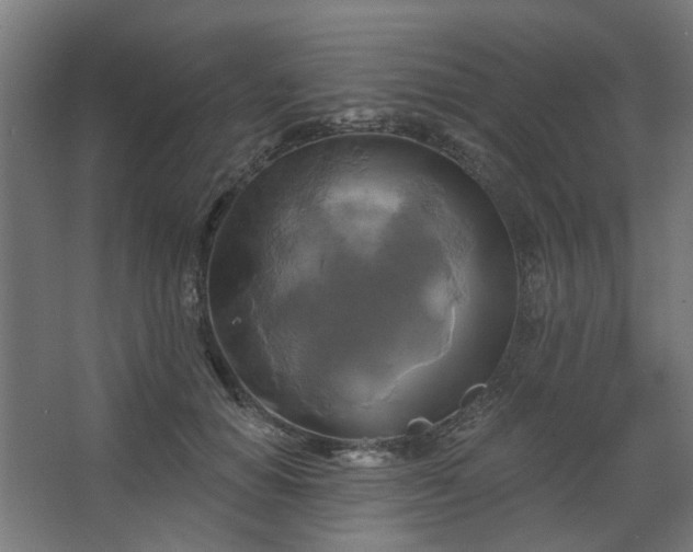 X0000067840654200604201243