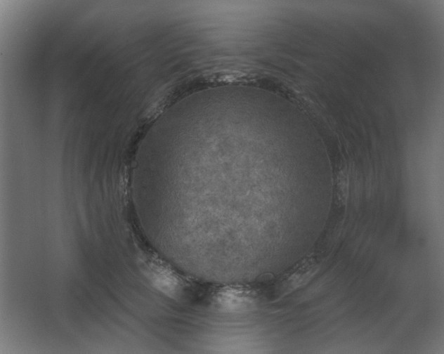 X0000067840657200604201243