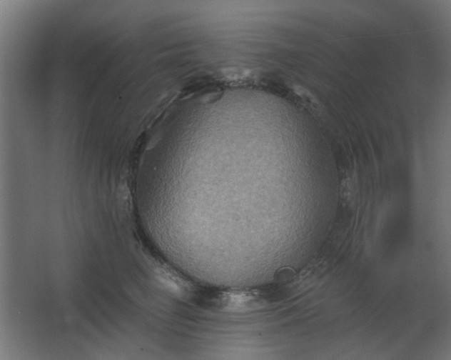 X0000067840662200604201243