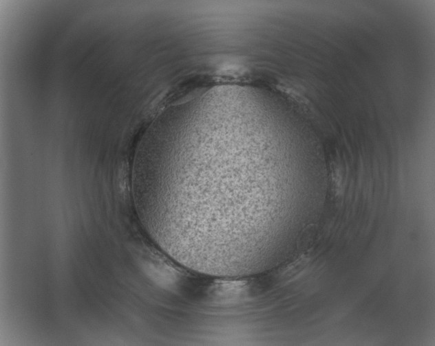 X0000067840665200604201243