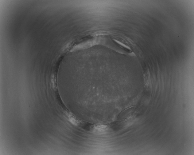 X0000067840669200604201243