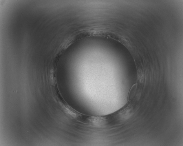 X0000067840670200604201243