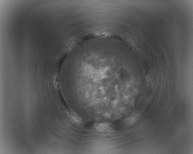 X0000067840671200604201243