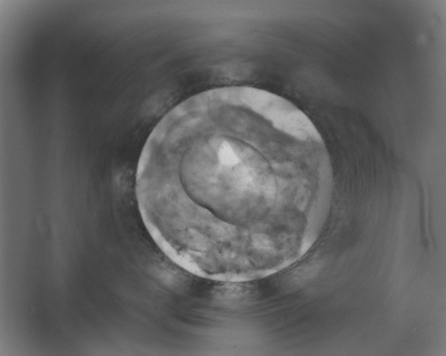 X0000067840672200604201243