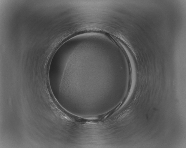 X0000067840673200604201242