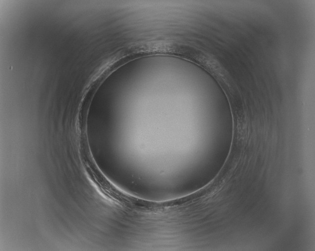 X0000067840674200604201242