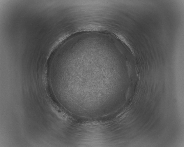 X0000067840675200604201242