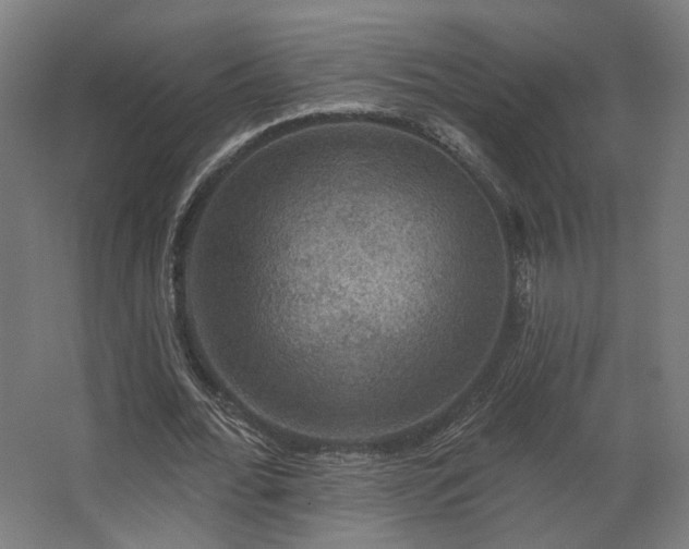 X0000067840676200604201242