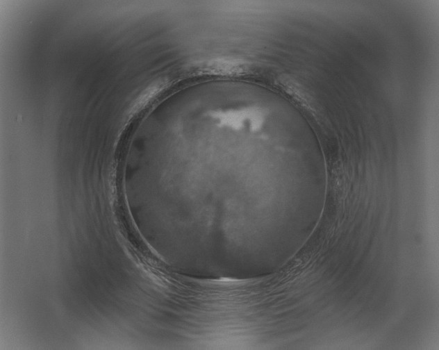 X0000067840679200604201242