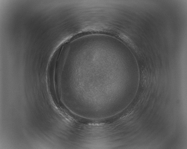 X0000067840680200604201242