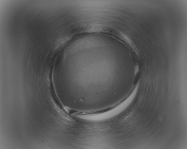 X0000067840681200604201242