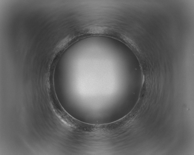 X0000067840682200604201242