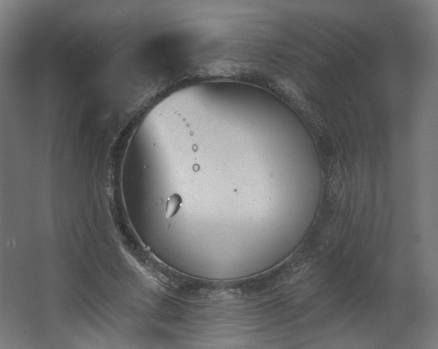 X0000067840683200604201242