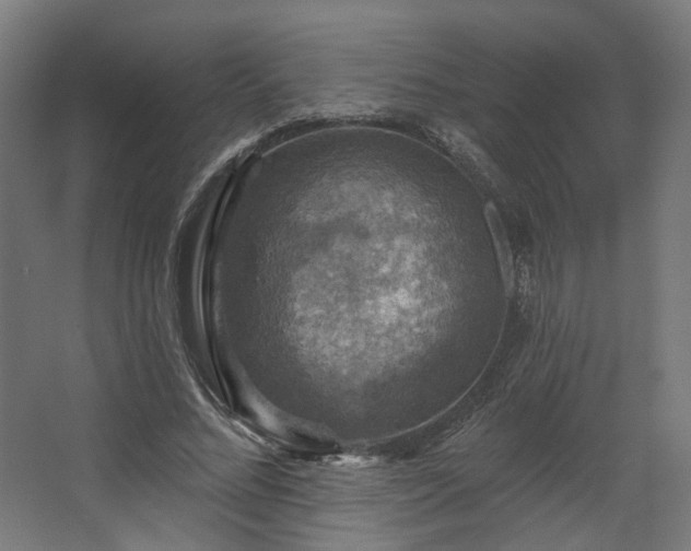 X0000067840684200604201242