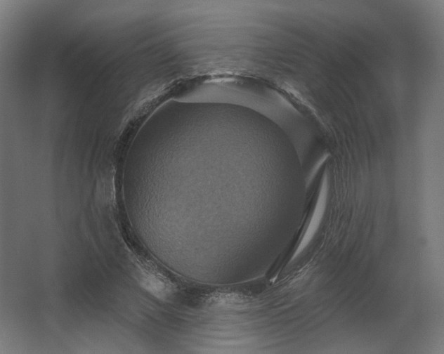 X0000067840685200604201242