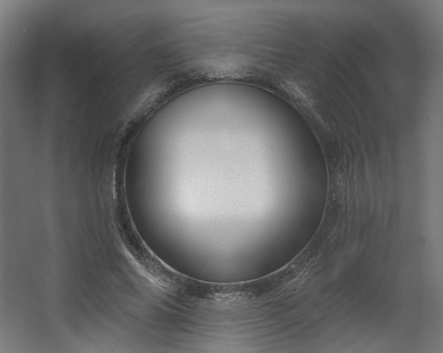 X0000067840686200604201242